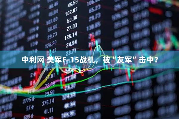 中利网 美军F-15战机，被“友军”击中？