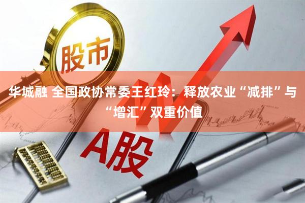 华城融 全国政协常委王红玲：释放农业“减排”与“增汇”双重价值