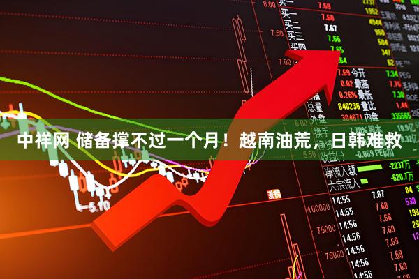 中祥网 储备撑不过一个月！越南油荒，日韩难救