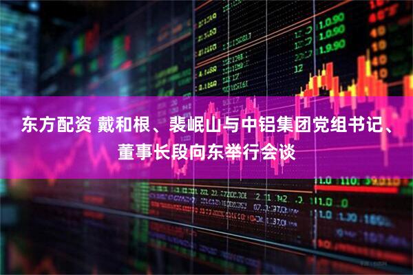 东方配资 戴和根、裴岷山与中铝集团党组书记、董事长段向东举行会谈