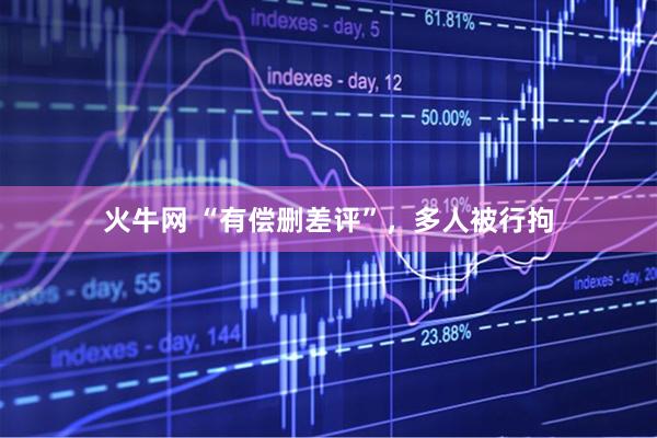 火牛网 “有偿删差评”，多人被行拘