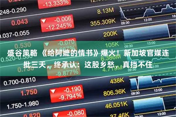 盛谷策略 《给阿嬷的情书》爆火！新加坡官媒连批三天，终承认：这股乡愁，真挡不住