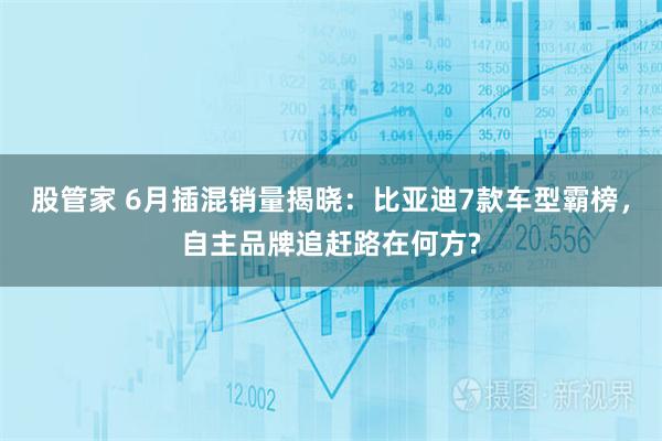 股管家 6月插混销量揭晓:比亚迪7款车型霸榜,自主品牌追赶路在何方?