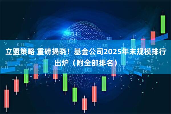 立盟策略 重磅揭晓！基金公司2025年末规模排行出炉（附全部排名）