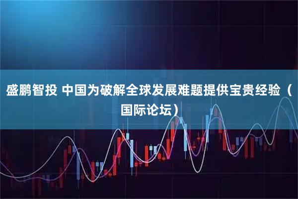 盛鹏智投 中国为破解全球发展难题提供宝贵经验（国际论坛）