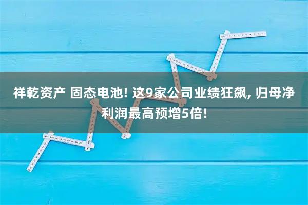祥乾资产 固态电池! 这9家公司业绩狂飙, 归母净利润最高预增5倍!