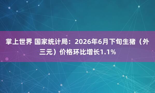 掌上世界 国家统计局：2026年6月下旬生猪（外三元）价格环比增长1.1%