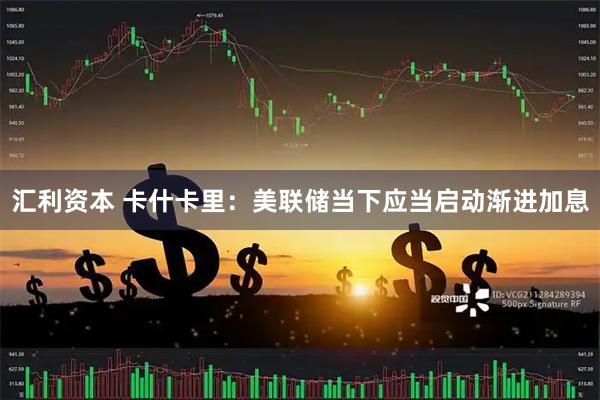 汇利资本 卡什卡里：美联储当下应当启动渐进加息